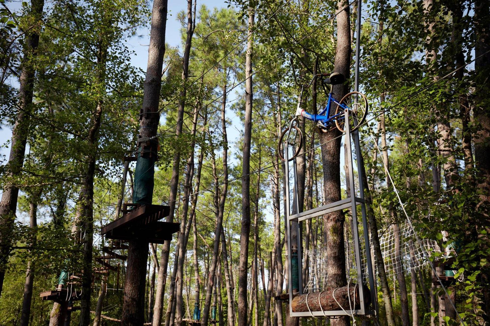 Paragraph Resort & Spa Shekvetili, Autograph Collection Extérieur photo Adventure Park in the forest