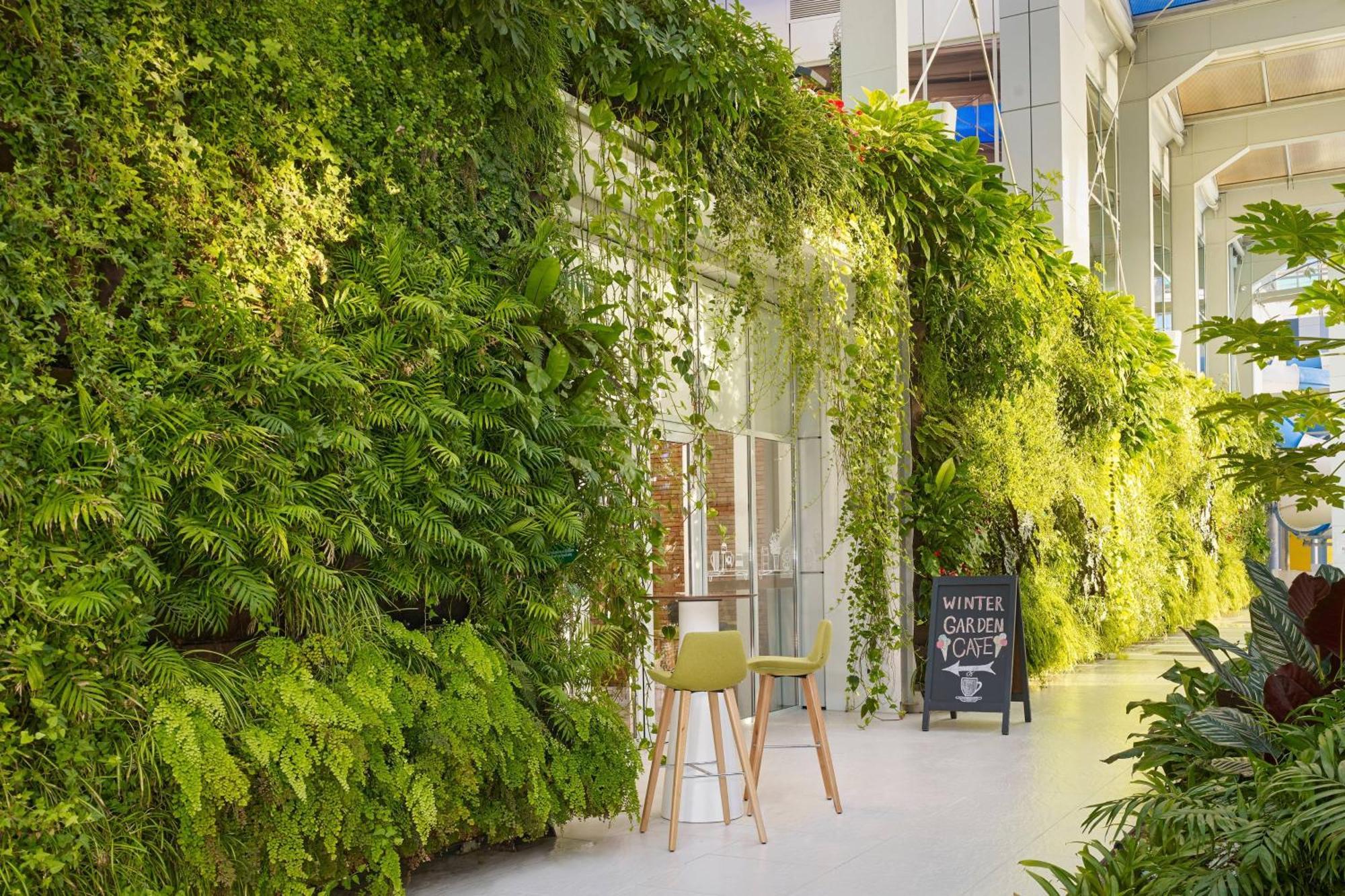 Paragraph Resort & Spa Shekvetili, Autograph Collection Extérieur photo Living wall