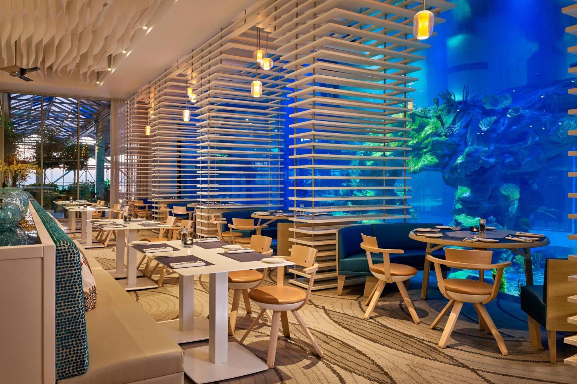 Paragraph Resort & Spa Shekvetili, Autograph Collection Extérieur photo The Lost Chambers Aquarium